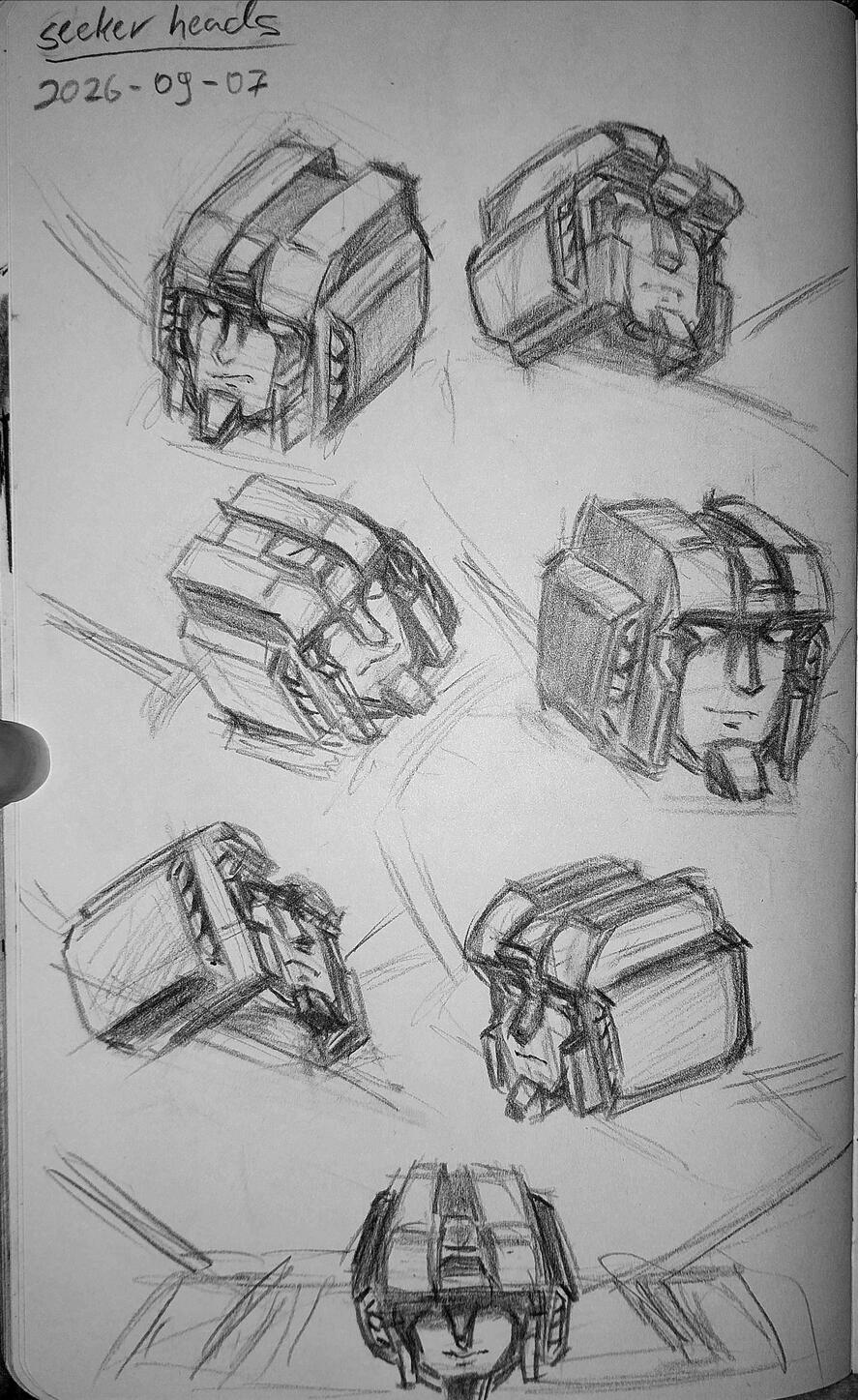 Seeker head studies